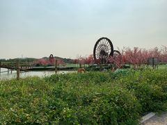 -光明小镇欢乐田园