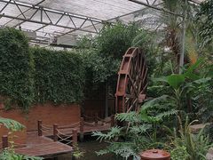 -金稼园·金平湖农家菜