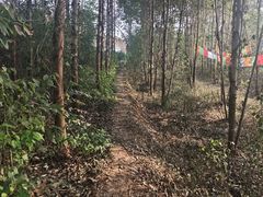 -成都老君山