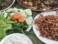 -庆岭迎宾园正宗活鱼馆