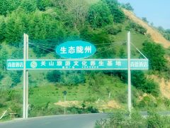-关山草原