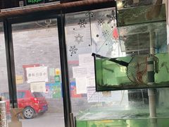-鲁前海沿儿