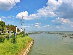 -水八仙生态园
