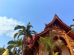 -曼听御花园
