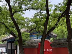 -北京国子监胡同