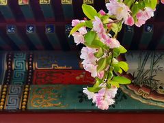 -海棠花溪(元大都城垣遗址公园)