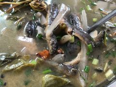 -盘龙黄鳝(盘龙居店)