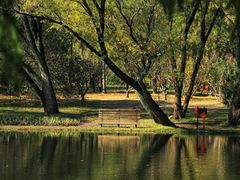 -上海共青森林公园