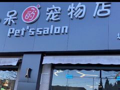 -小呆的宠物店·宠物售卖·宠物寄养(城西店)