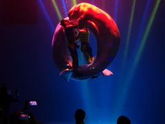 -芜湖新华联大白鲸海洋公园