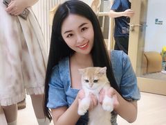 -Umiao与猫咖啡 猫咖