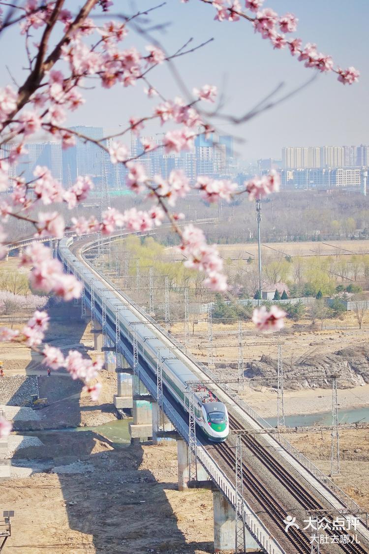 丰城铁路桃花谷图片