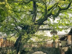 -云水谣景区