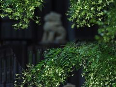 -成都杜甫草堂博物馆