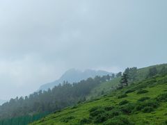 -芦芽山旅游度假区