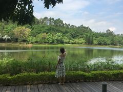 -南国桃园旅游度假区