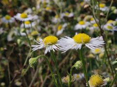 -中国天府农业博览园