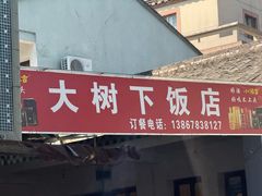 -大树下饭店(春晓镇慈岙社区卫生服务站南)