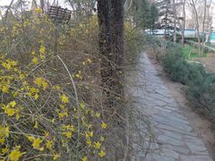 -黄村公园