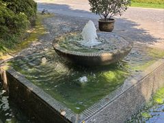 -上海瑞金洲际酒店
