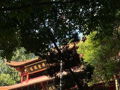 -四川大学博物馆