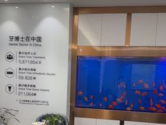 -牙博士口腔品牌连锁(杨浦店)