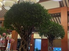 -苏州环秀晓筑养生度假村