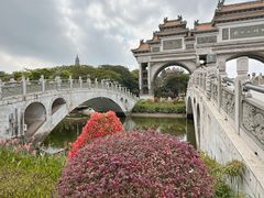 -顺峰山公园