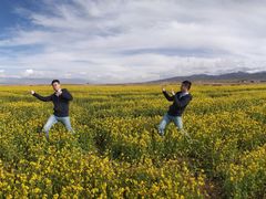 -青海湖国家重点风景名胜区