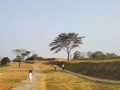 -盘龙城国家考古遗址公园