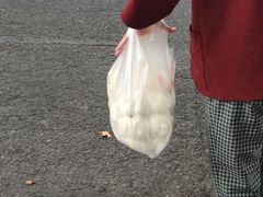 -袁大头包子(光华路店)