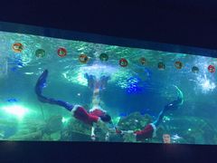 -重庆欢乐海底世界
