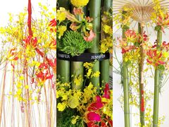 -深圳国际园林花卉博览园