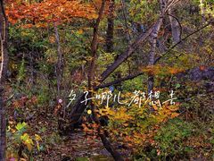 -玉渡山自然风景区