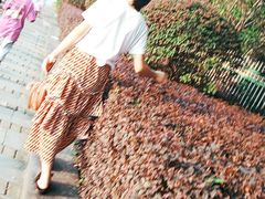 -南昌之星游乐场