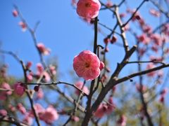 -西北湖绿化广场