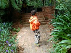 -广东茂名森林公园