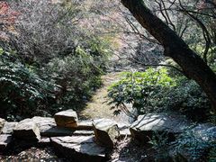 -杭州半山国家森林公园