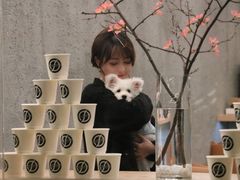 -Infica Coffee