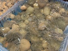 -新丁香海鲜酒店(银海商贸城店)