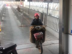 -武汉关码头(轮渡站)