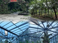 -东莞植物园