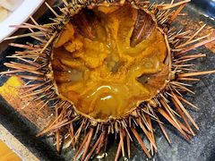 -海胆小馆(东北水饺·春柳店)