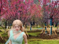 -梁鸿国家湿地公园