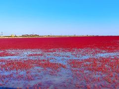 -红海滩国家风景廊道