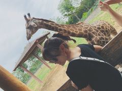 -石家庄市动物园