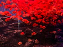 -多彩贵州城极地海洋世界