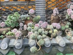 -古大圣慈寺