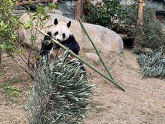 -泉州海丝野生动物世界