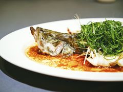 桂鱼-许家菜(望江店)